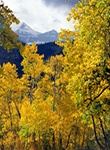 Timpanogos in Fall Utah