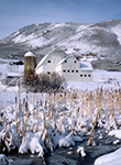 Park City Barn in Winter Utah